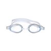 Picture of PERFORMANCE GOGGLES - TECHNO II (SILVER/GREY)