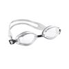 Picture of LEISURE GOGGLES - PREDATOR (SILVER)