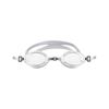 Picture of LEISURE GOGGLES - PREDATOR (SILVER)