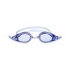 Picture of PERFORMANCE GOGGLES - AUTOMATIC ENVY RACING (BLUE)