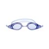 图片 PERFORMANCE GOGGLES - AUTOMATIC ENVY RACING (BLUE)