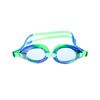 图片 LEISURE GOGGLES - NOVA - BLUE/GREEN