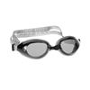 图片 ADULT LEISURE GOGGLES > RAPTOR (SILVER)