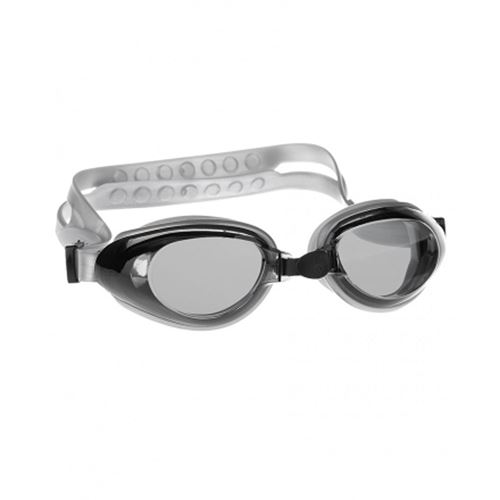 Picture of ADULT LEISURE GOGGLES > RAPTOR (SILVER)